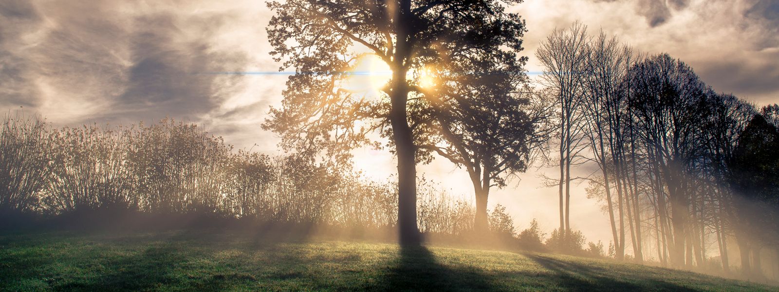 高氏養生功慈善基金